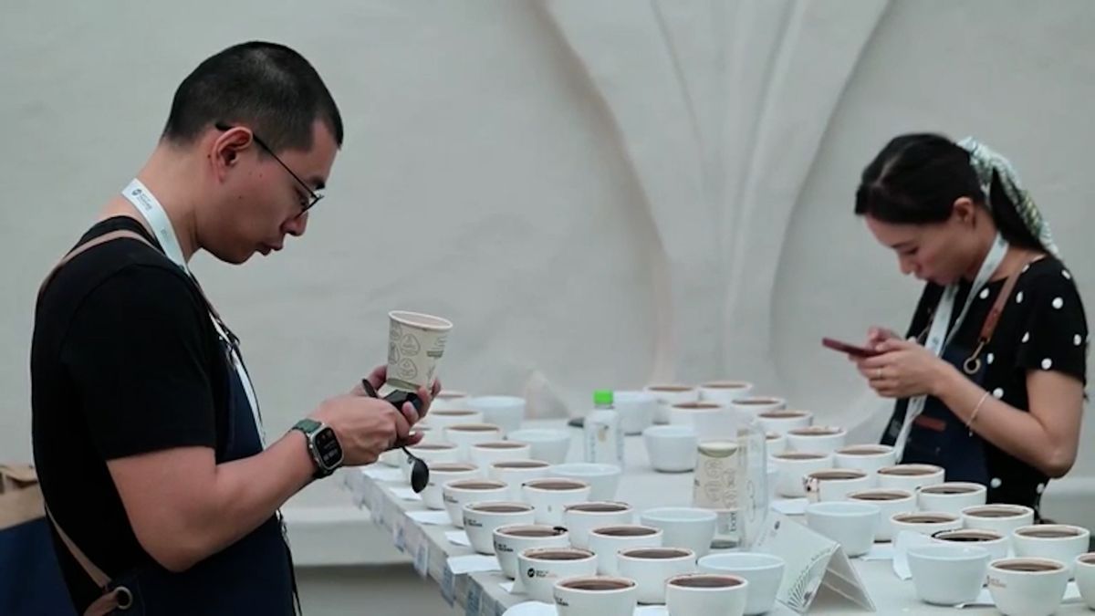 Kilo panamské kávy se prodalo za rekordních 10 tisíc dolarů